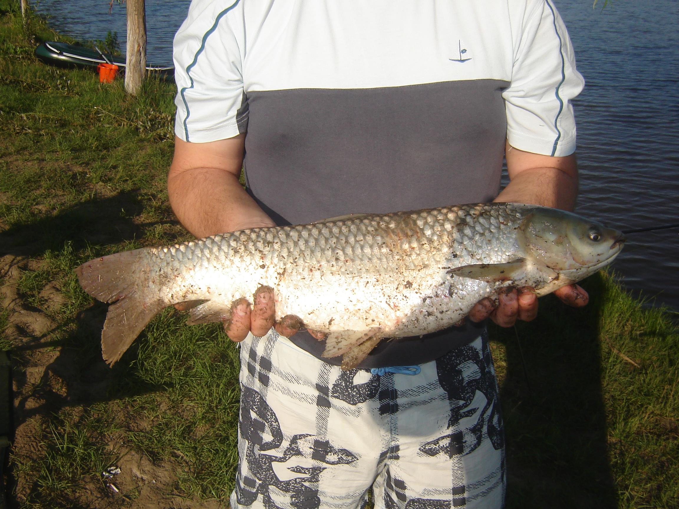 popesti - razvani,calarasi